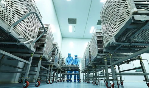 科技賦能植物工廠，張掖農(nóng)特產(chǎn)品提質(zhì)增效